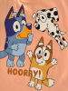 Παιδικό σετ Bluey